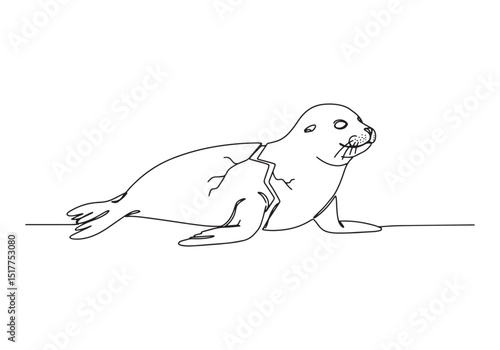 Monochrome Continuous Line Drawing of a Seal with a Cracked Shel
