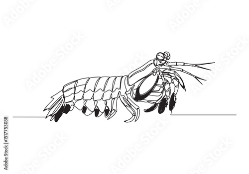 Elegant continuous line drawing of a mantis shrimp in black and