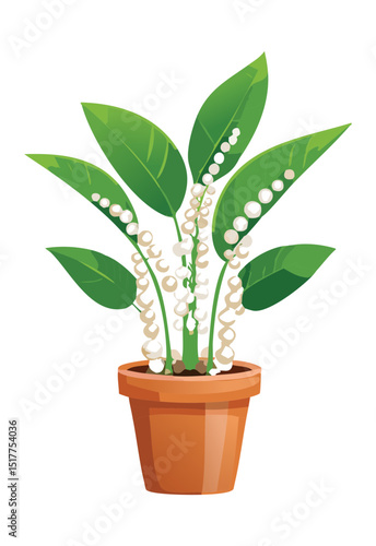 Plant with White Berries in Terracotta Pot