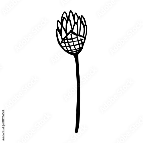 Vector image of chives flower. Botanical design element. Основные RGB