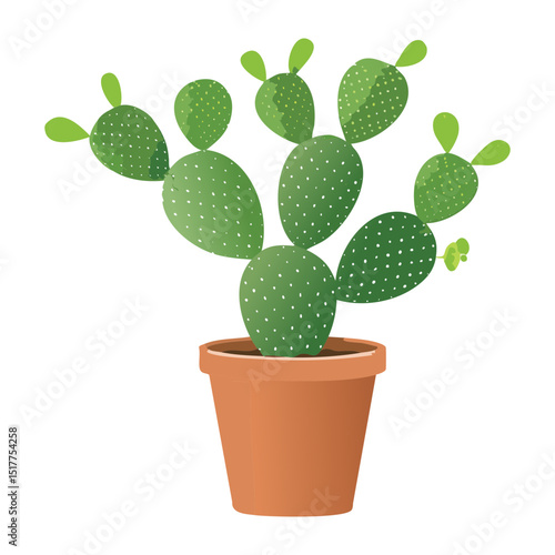 Green Prickly Pear Cactus in Pot