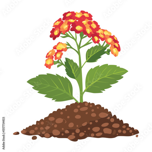 Orange Flowering Plant on Soil Illustration