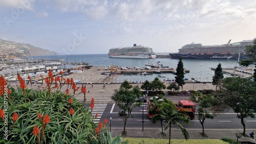 Schilderij op canvas The surroundings of Funchal harbor in Madeira offer a vibrant mix of historic charm, modern marina life, and scenic coastal views