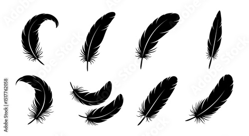 Vector Feather Icons collection. Black feather silhouette set.
