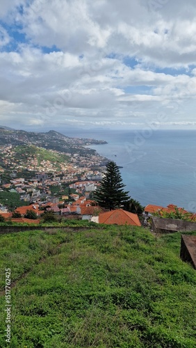 view of Funchal capital city of Madeira