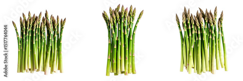 Fresh green asparagus spears grouped in three clusters isolated on transparent background presented in top view with detailed texture and vibrant color variations