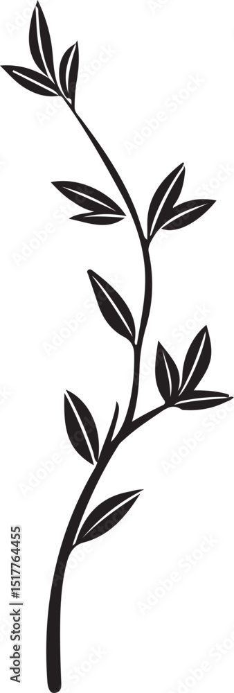 Long Oriental Asian Branch with Leaves, Twig, Vector Illustration, Sketch Drawing Line Linear Symbol Icon Engraving Coloring Book, Hand-drawn Black and White Isolated Long Oriental Asian Branch with Leaves, Twig, Vector Illustration, Sketch Drawing Line Linear Symbol Icon Engraving Coloring Book, Hand-drawn Black and White Isolated
