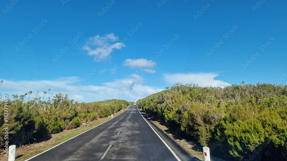 Obraz premium A road trip through Madeira reveals the island’s stunning diversity, from lush mountains and dramatic cliffs to charming villages and vibrant coastal views. Winding roads offer unforgettable experienc