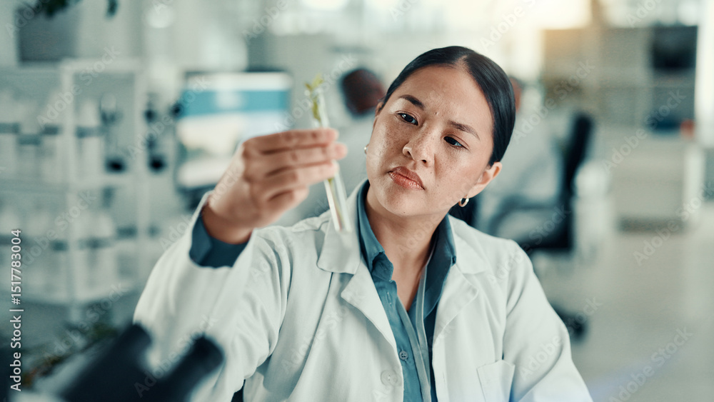 Fototapeta premium Science, plant and test tube with woman in laboratory for biology research, medical and growth. Inspection, climate change analyst and environment study with scientist for results and sustainability