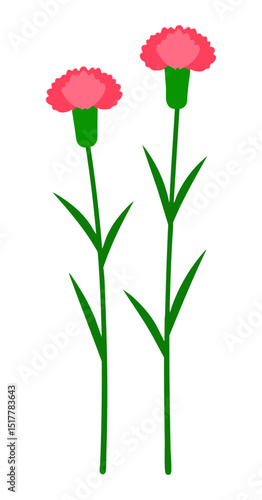 Dwa różowe goździki grafika dekoracja