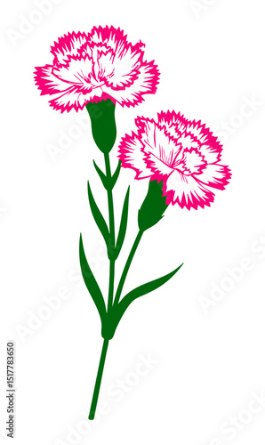 Dwa różowe goździki kwiaty ilustracja
