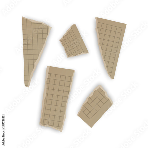 Torn Pieces of Lined and Grid Paper
