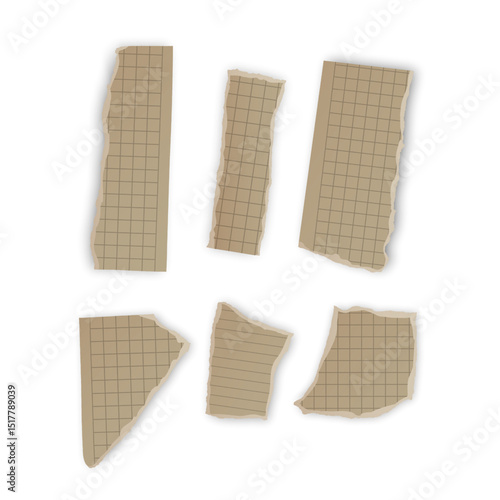 Torn Pieces of Lined and Grid Paper