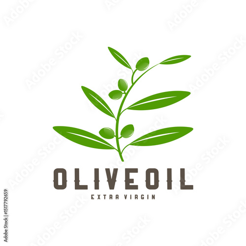Green olive branch  for extra virgin olive oil.