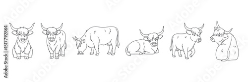 Hand drawn vector outline illustrations of Highland cows in various poses including standing sitting grazing and resting perfect for farm animal designs rustic decor