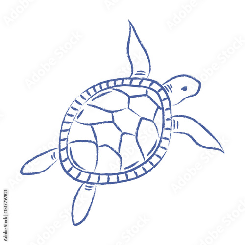 Sea turtle vector. Doodle of big turtle with pencil, chalk texture. Vector isolated element