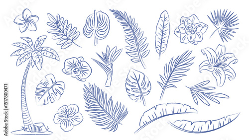 Set of pen drawn tropical leaves and plants. Palm branches, fern, exotic flowers. Vector contour elements