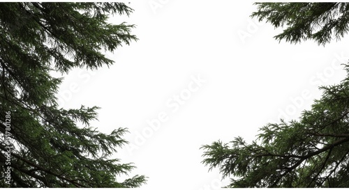 Green foliage border with clear white space for text or design overlay