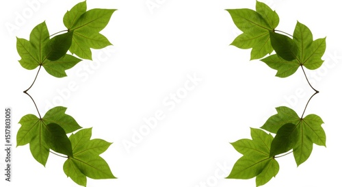 Botanical Frame with Lush Green Leaves on White Background Minimalistic Concept