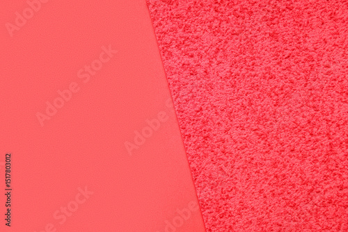 Texture of different coral ...