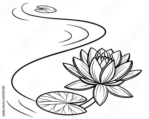 Water lily flower with leaves on a stream line drawing