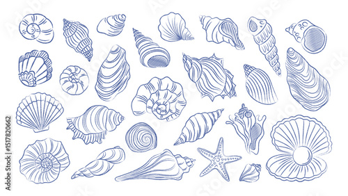 Set of seashells on white background. Trending doodles, twisted ornate shells. Vector pen drawn vintage element