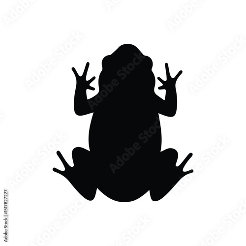 Top view toad silhouette vector flat illustration design.