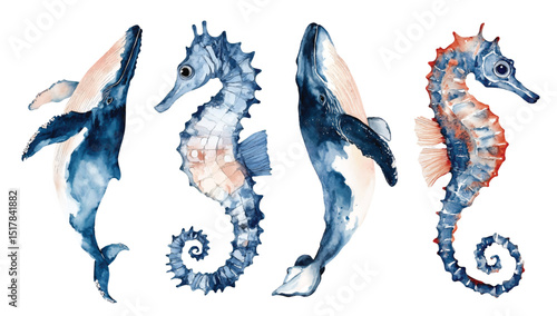 Set of ocean animals watercolor vector illustration, underwater sea whale, seahorse art isolated on white background