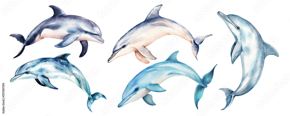 Fototapeta premium watercolor dolphin vector illustration, underwater ocean animal art isolated on white background