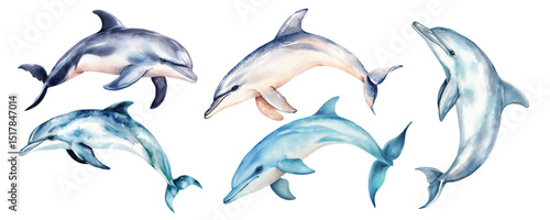 watercolor dolphin vector illustration, underwater ocean animal art isolated on white background