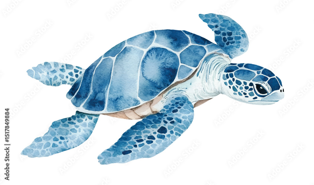 Fototapeta premium watercolor sea turtle vector illustration, underwater ocean animal art isolated on white background