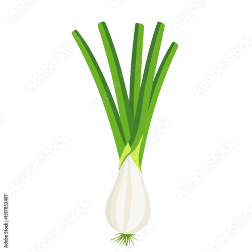 My Simple flat 2D icon whole spring onion isolated on transparent background, vector, flat design, animation design, vector, flat design, animation design, simple flat 2D icon, minimalist design