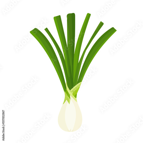 My Simple flat 2D icon whole leek isolated on transparent background, vector, flat design, animation design, vector, flat design, animation design, simple flat 2D icon, minimalist design