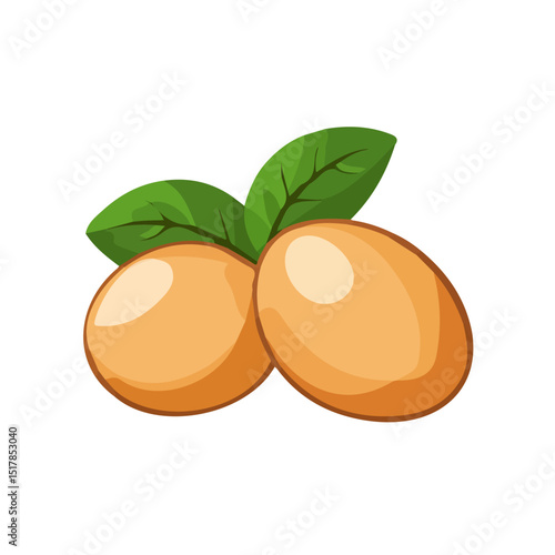 My Simple flat 2D icon whole sapodilla isolated on transparent background, vector, flat design, animation design, vector, flat design, animation design, simple flat 2D icon, minimalist design