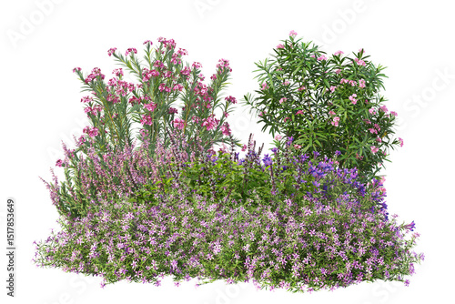 Obraz na plátně Small bush with different plants, colorful field wildflowers cut out