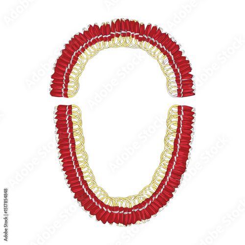hawaiian flower lie vector illustration 