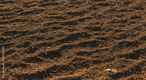 Rich Dark Brown Soil Texture Background Agricultural Field Earth Ground Surface