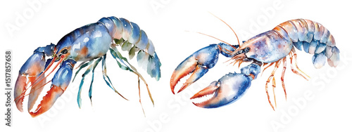 cancer watercolor vector illustration, underwater ocean animal art isolated on white background