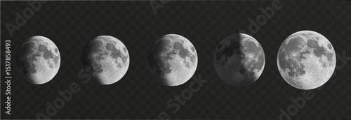 Set of realistic vector moon on an isolated transparent background. Moon vector png