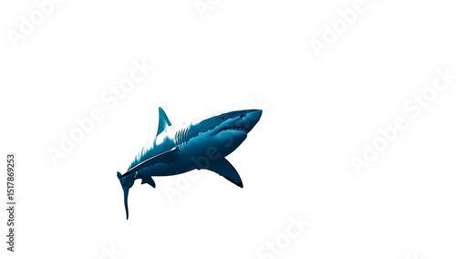Wallpaper Mural Great white shark in dark water isolated on transparent PNG Torontodigital.ca