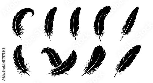 Set of detailed majestic feather collection. Bird Feather black silhouettes. Plumelet collection. Vector isolated on white