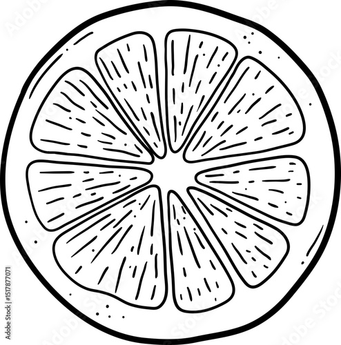 Orange fruit lineart black clipart design illustration