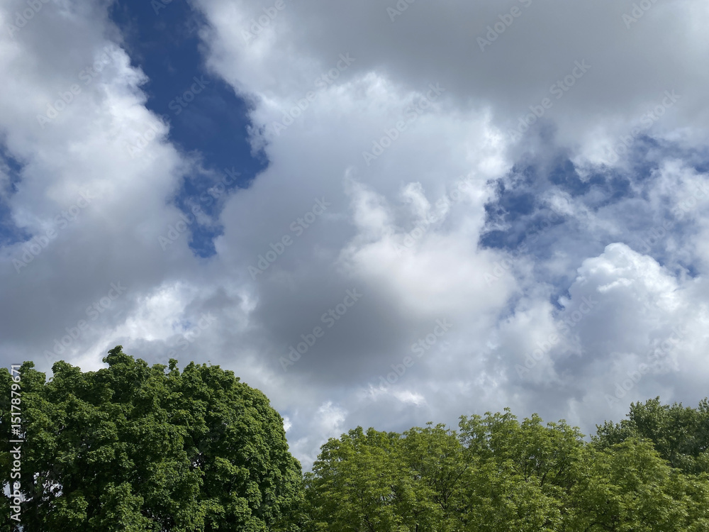 Obraz premium From spring a few days into summer. Clouds slowly rise above the horizon from behind the trees. They are heavy, which predicts the beginning of a good rain soon.