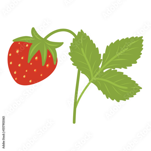 Strawberry plant with a berry and leaves vector illustration