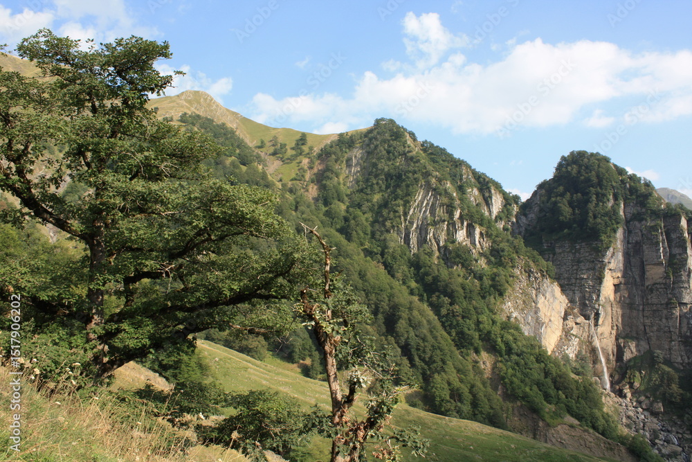 Fototapeta premium mountain landscape with trees