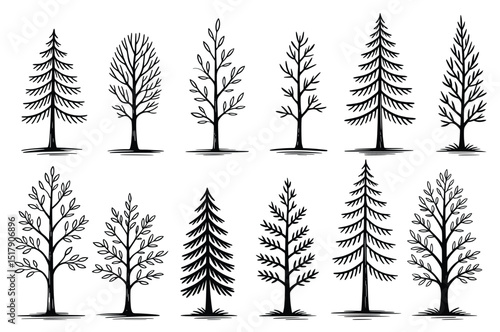 Winter Christmas Tree Silhouettes Set in Forest Landscape