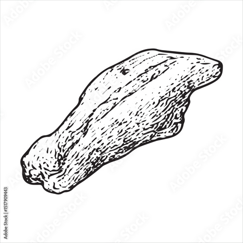 This vector shows a grilled steak, perfect for American barbecue, diner meals, and culinary designs in a detailed sketch style