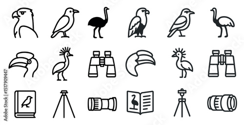 Bird watching icons with binoculars and guidebooks for nature enthusiasts