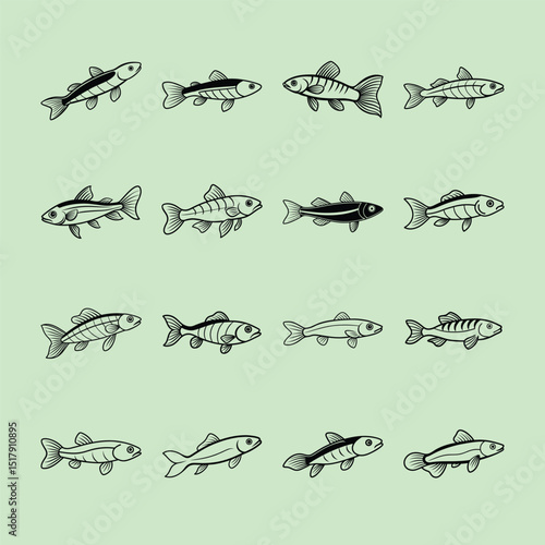 Endler’s Livebearer, aquarium fish line art illustration
