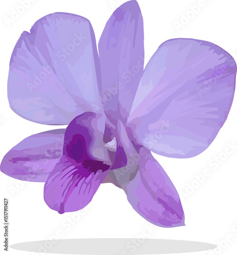 vector image of a violet purple orchid flower on a white background